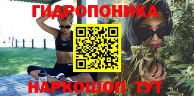 винт Лесосибирск