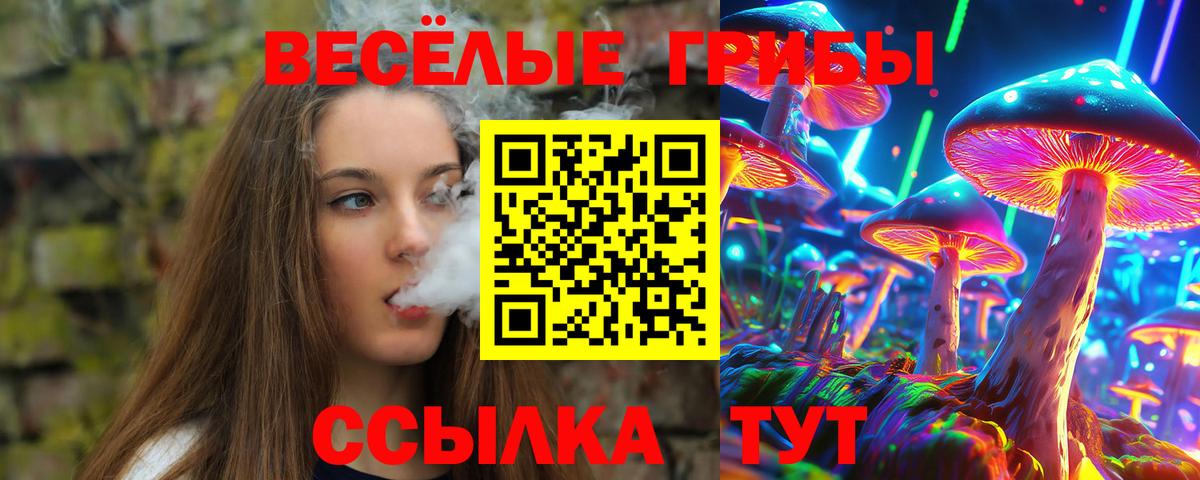 Выкса  как найти закладки  Вход с VPN  Галлюциногенные грибы мицелий 