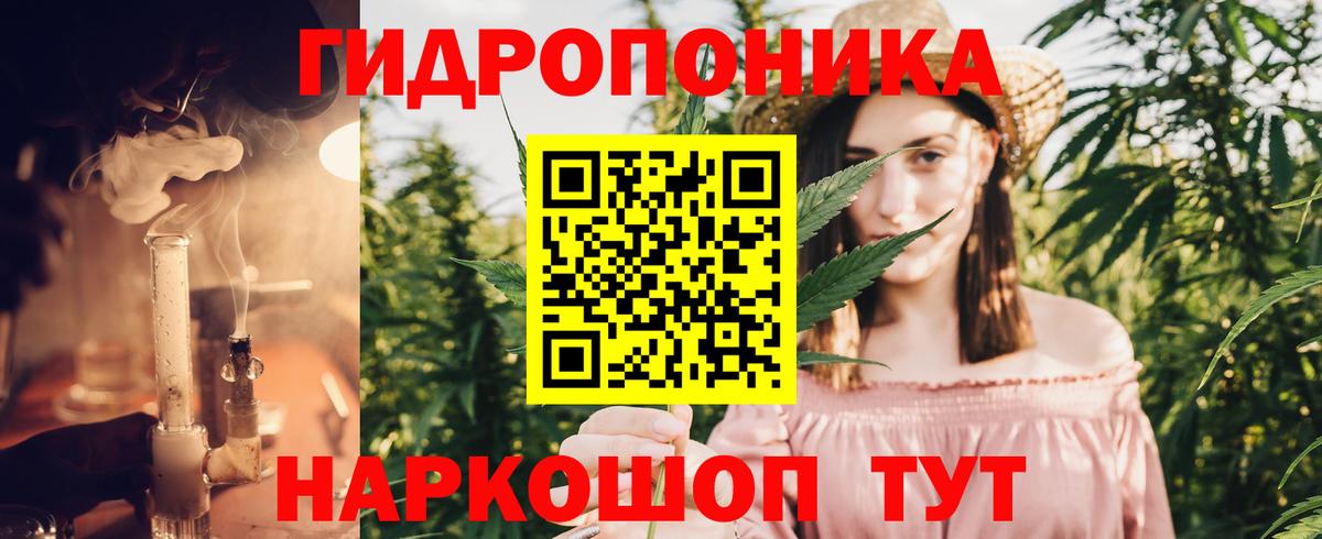 Канабис индика  Вход с VPN  Конопля OG Kush  Канабис семена  Выкса 